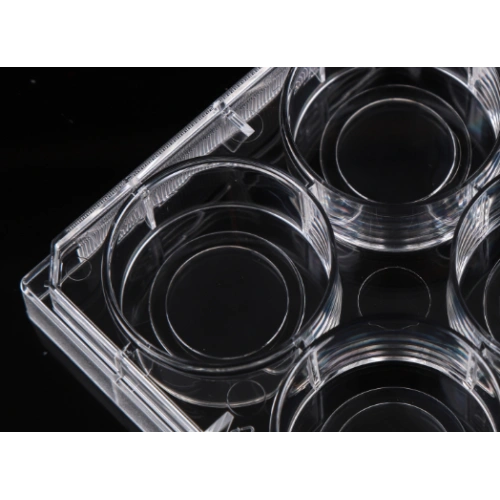 6 Well Glass Bottom Cell Culture Plates China Manufacturers Suppliers Factory Exporter